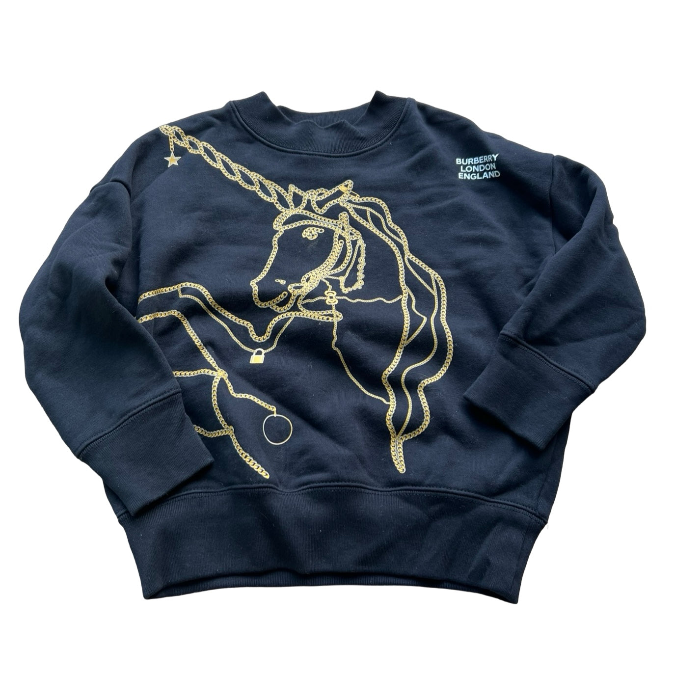 Burberry Sweatshirt, 4