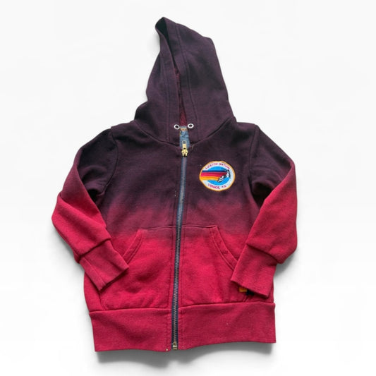 Aviator Nation Sweatshirt, 2