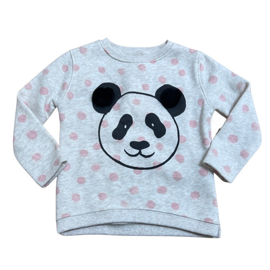 Zara Sweatshirt, 2-3T