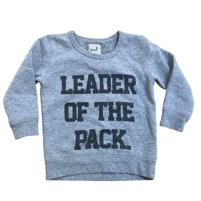 Peek Sweatshirt, 18-24M