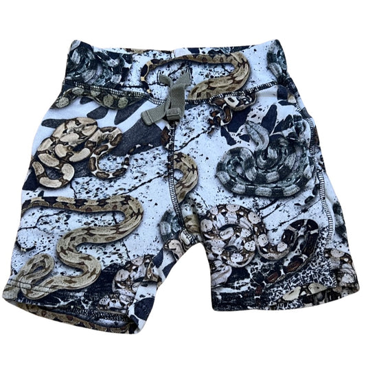 Molo shorts, 5T