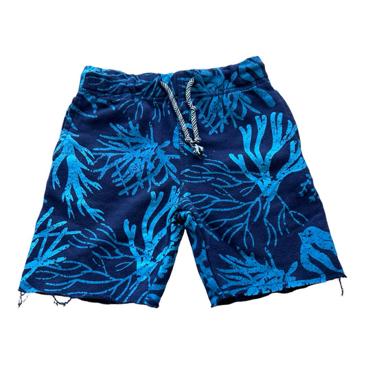 Appaman shorts, 4