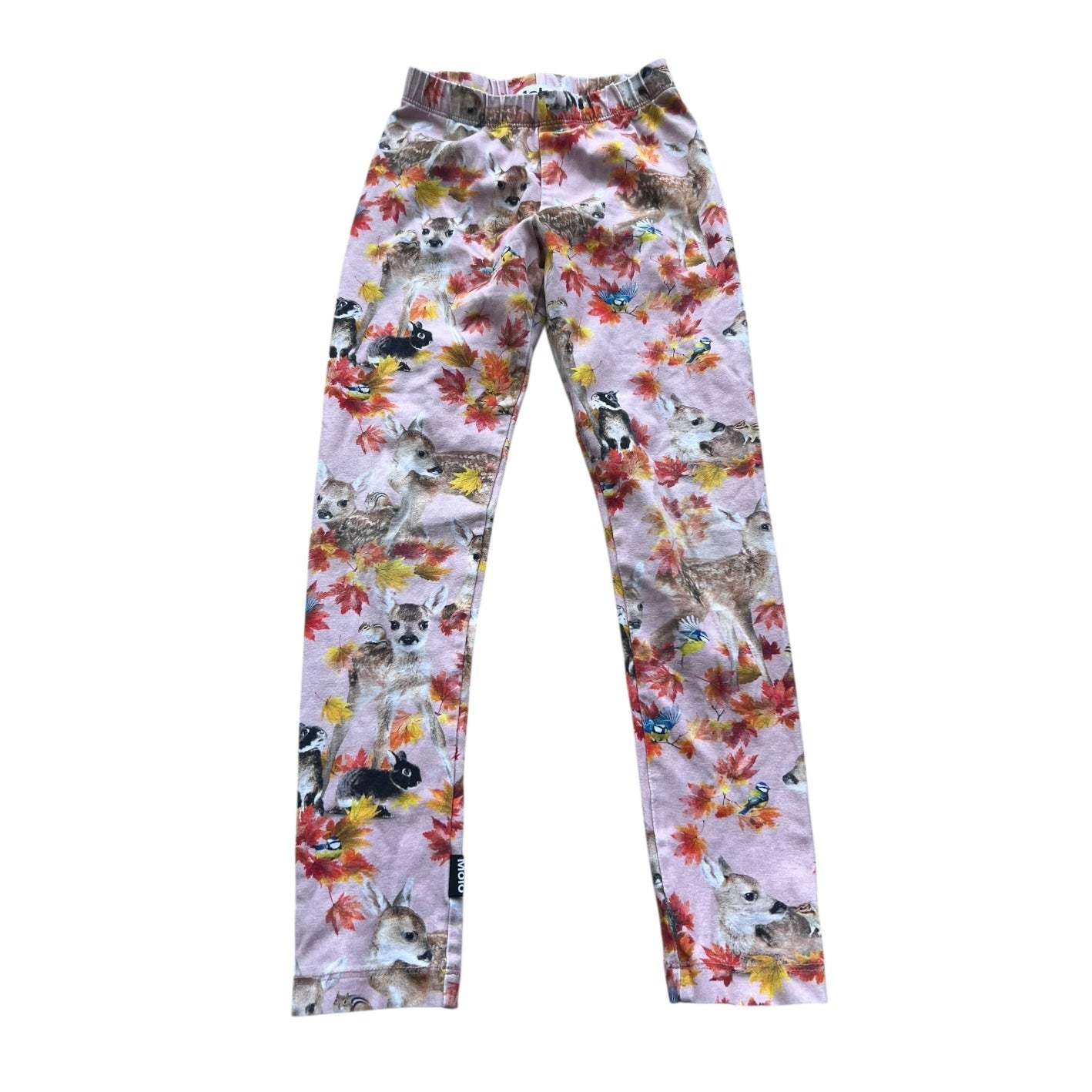 Molo legging, 4-5