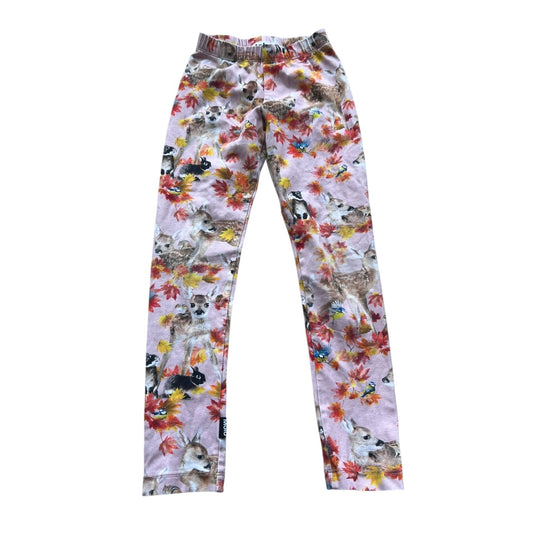 Molo legging, 4-5