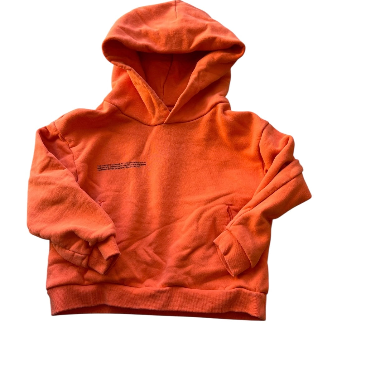 Pangaia Sweatshirt, 3-4