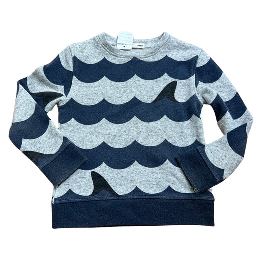 Appaman Sweatshirt, 3T